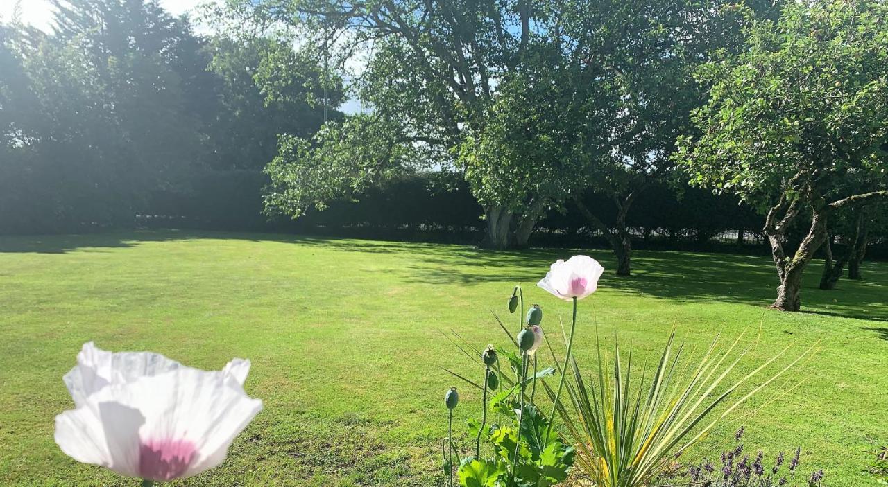 Hope Orchard Bed & Breakfast Cheltenham Dış mekan fotoğraf