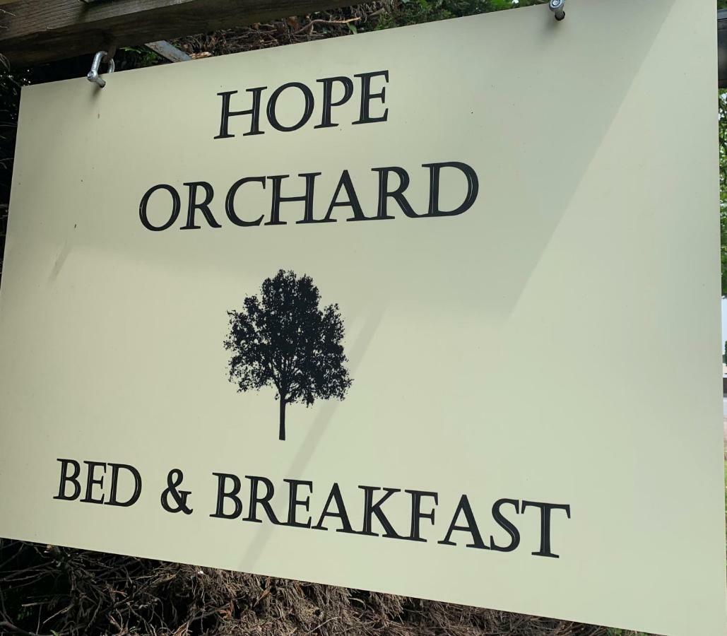 Hope Orchard Bed & Breakfast Cheltenham Dış mekan fotoğraf