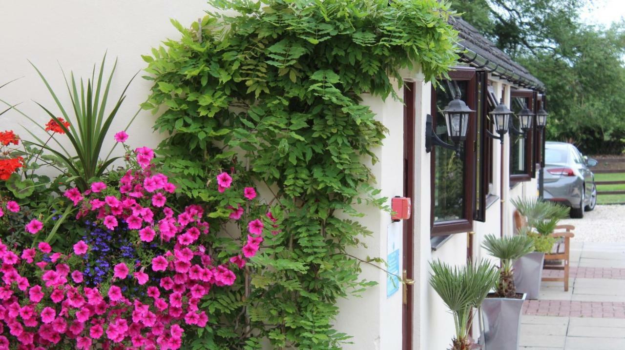 Hope Orchard Bed & Breakfast Cheltenham Dış mekan fotoğraf
